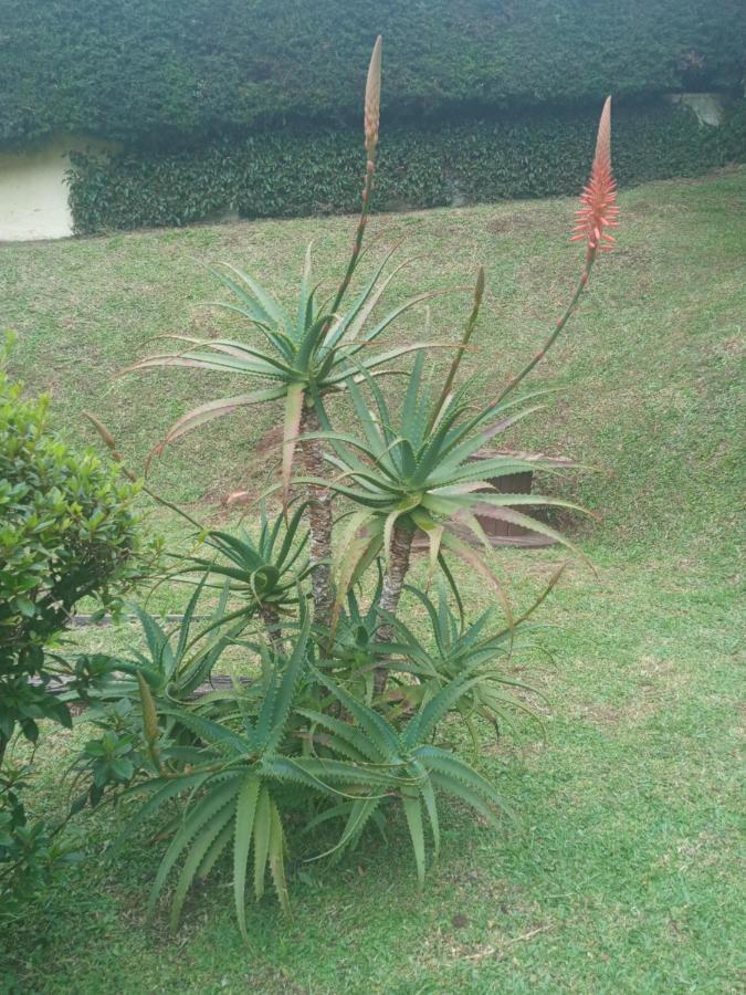 Pousada Campos Sonho Meu Campos do Jordão Kültér fotó